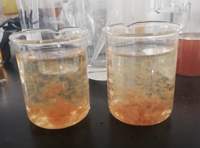 无锡狗子28化工带您了解焦化废水脱色过程